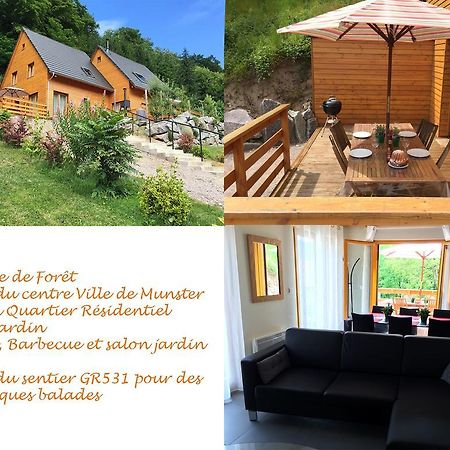 Le Chalet La Cigogne Et Le Chamois Munster  Exteriör bild