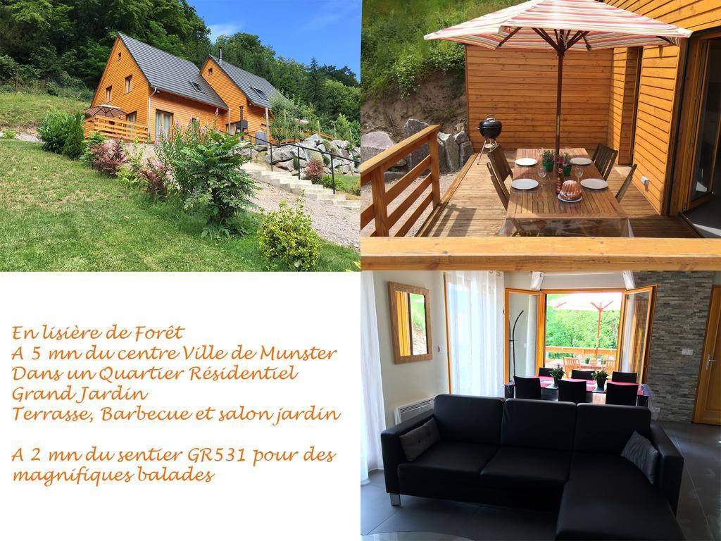 Le Chalet La Cigogne Et Le Chamois Munster  Exteriör bild